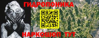 эйфоретик Заволжье