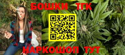 гашик Жуковский