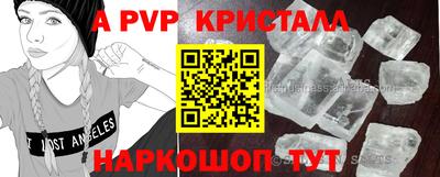 гашик Жуковский