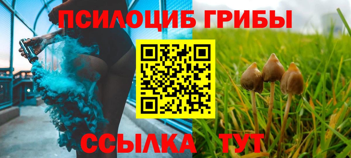 Галлюциногенные грибы GOLDEN TEACHER  Галлюциногенные грибы Psilocybe  Вход с VPN  Коряжма 