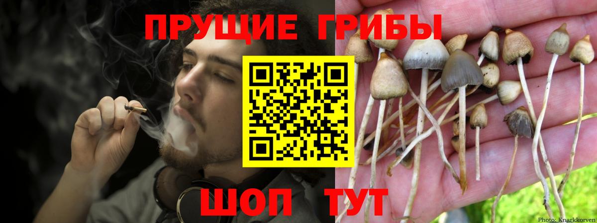 Псилоцибиновые грибы MAGIC MUSHROOMS Коряжма